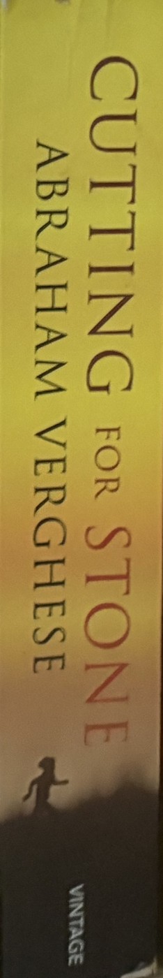 Cutting for Stone — Abraham Verghese